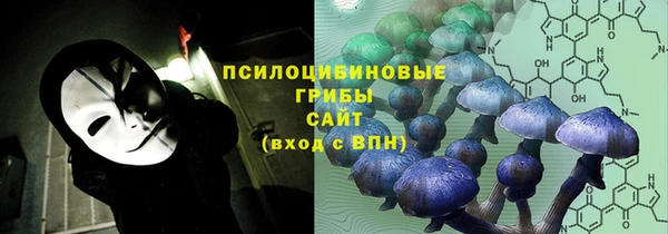 PSILOCYBIN Гусиноозёрск