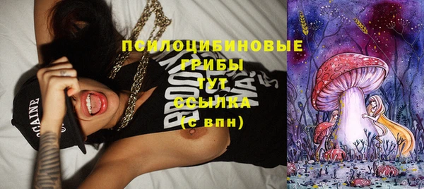 PSILOCYBIN Гусиноозёрск