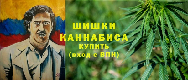 PSILOCYBIN Гусиноозёрск