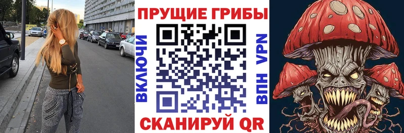 Галлюциногенные грибы ЛСД  Купить где  Кизляр 