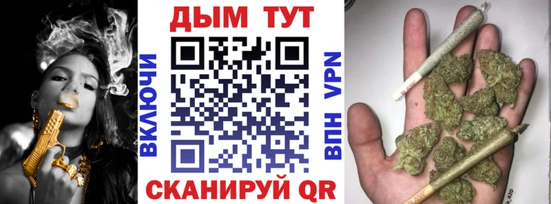 Каннабис планчик  Купить закладки  Кизляр 